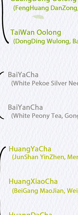 China-Tea-Types_10