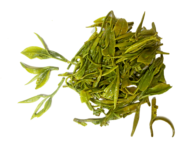 Organic TianMu QingDing Green Tea SS Grade One bud one leaf GuYu Tea Brewed Leaf