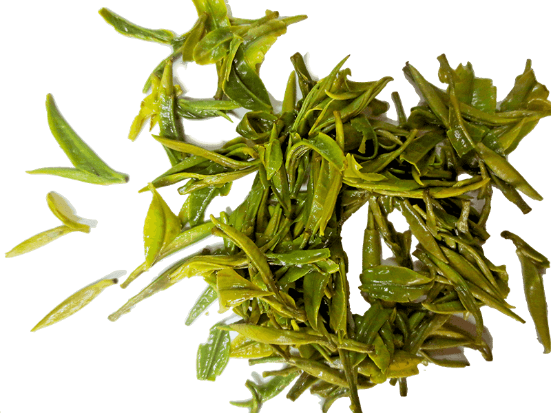 Organic TianMu QingDing Green Tea SS Grade One bud one leaf GuYu Tea Brewed Leaf
