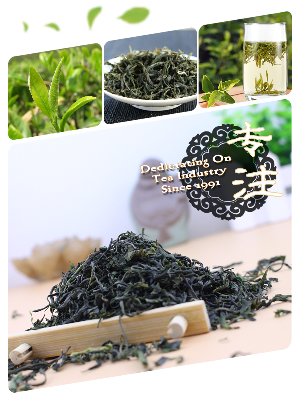 Maofeng Green Tea - Product - Infos