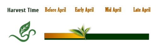 Harvest Time
