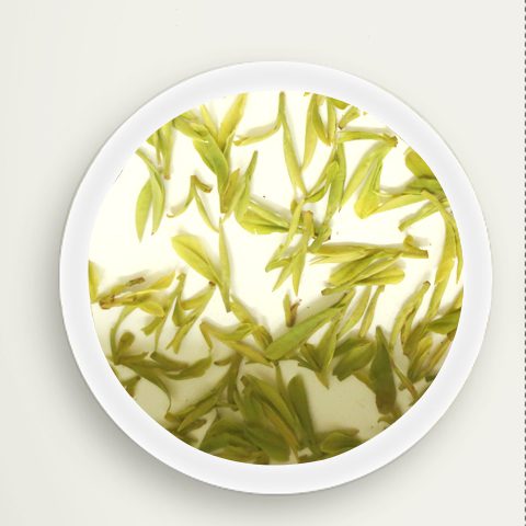 Longjing Comparision Tea Brewed Tea Leaf A