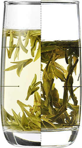 Longjing Comparision With Good and Low