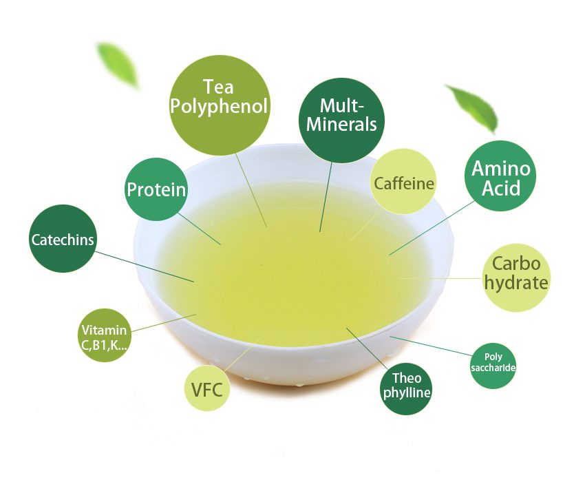 Nutrition Matters in Sencha