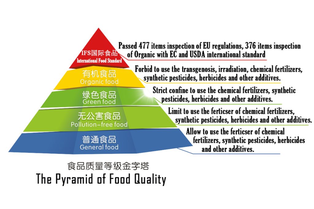 Organic Food Pyramid