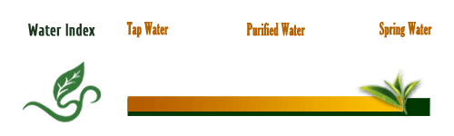Water Index