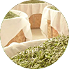 White Tea Craft - Drying