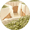 White Tea Craft - Drying