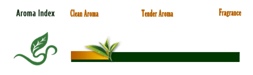 Aroma Index-Clean