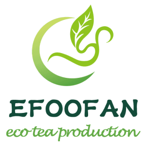 EFOOFAN LOGO