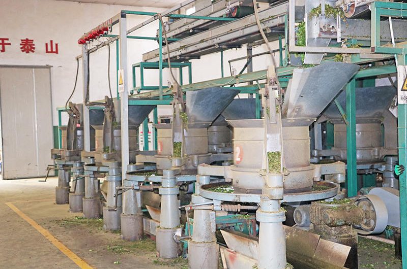 Organic Tea Production Line